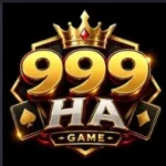 999HA Game Download Android
